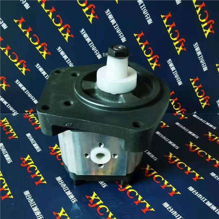 Case Tractor Pump 704330R95